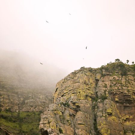Cape Vulture Conservancy Hoedspruit Extérieur photo