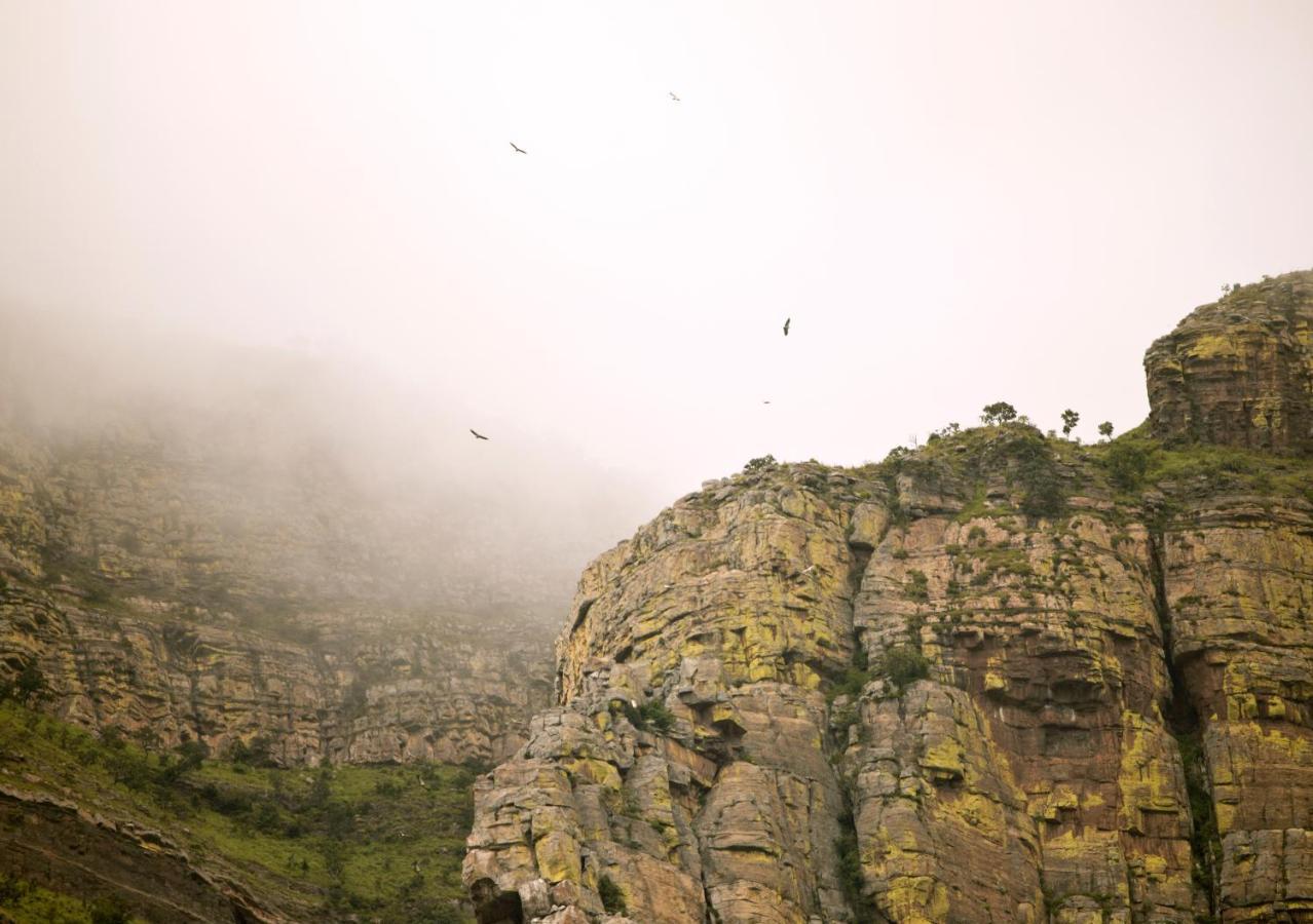 Cape Vulture Conservancy Hoedspruit Extérieur photo