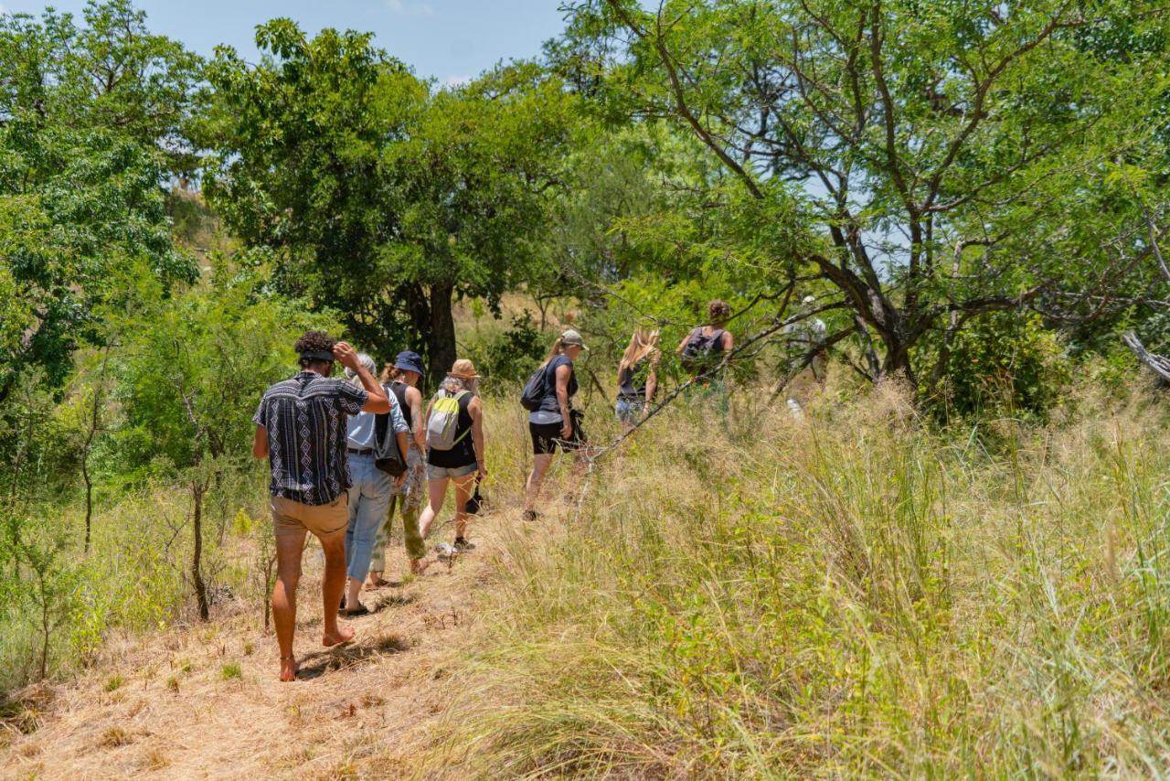 Cape Vulture Conservancy Hoedspruit Extérieur photo