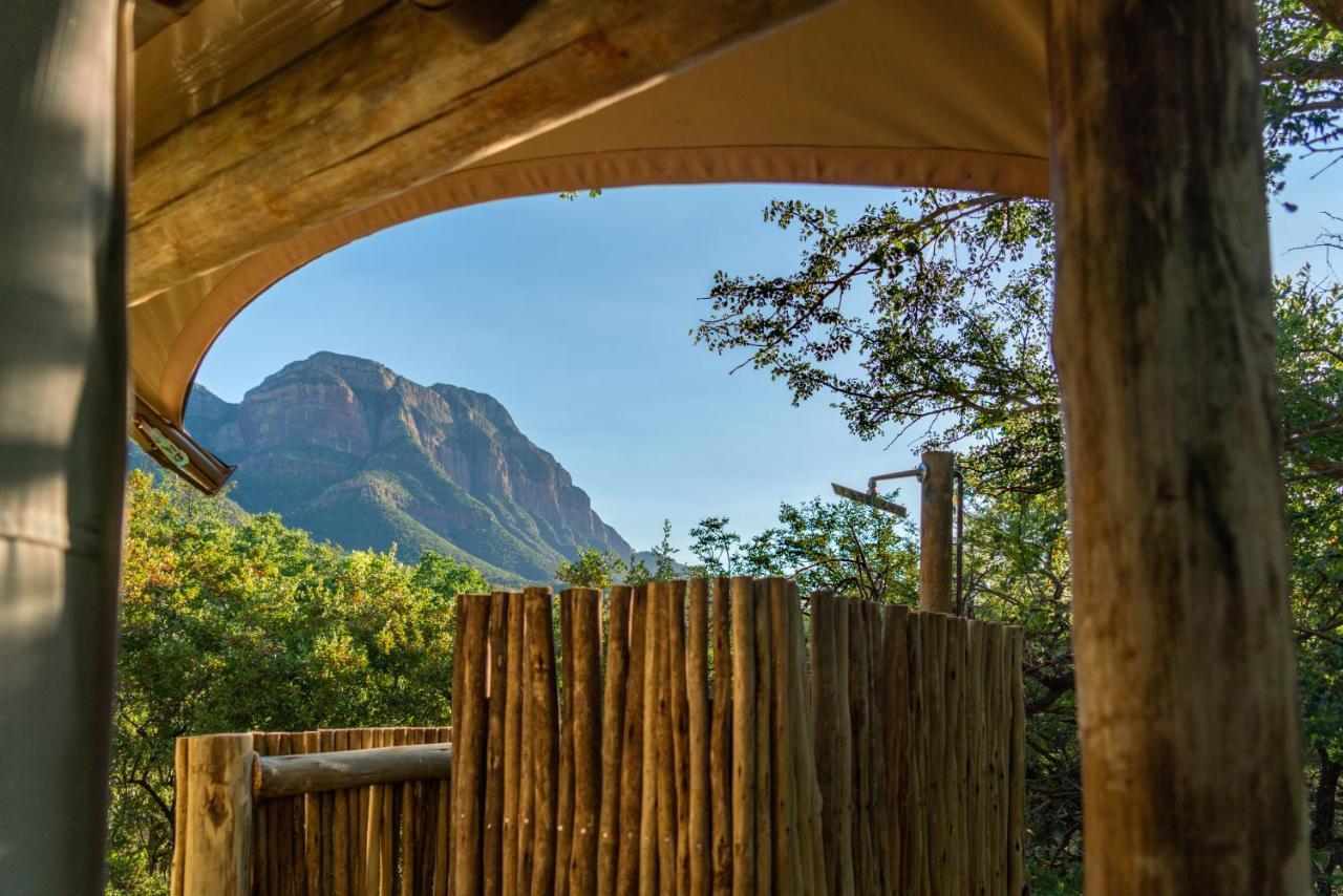 Cape Vulture Conservancy Hoedspruit Extérieur photo